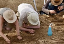 Headless skeletons offer new insights into farming societies 7,000 years ago