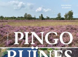 Lezing: Pingoruïnes – parels in het landschap